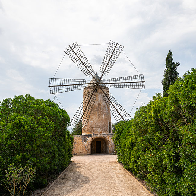 andreu-genestra-eventos-27