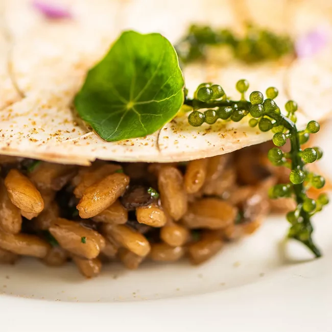 andreu-genestra-plato-rest-137